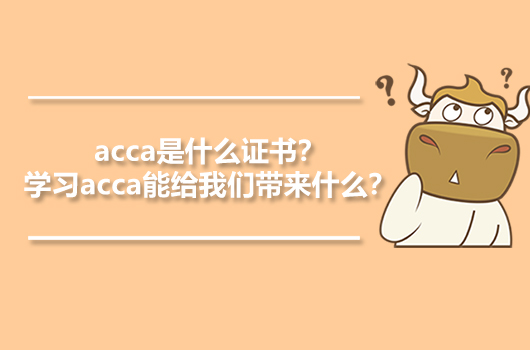 acca是什么证书？学习acca能给我们带来什么？