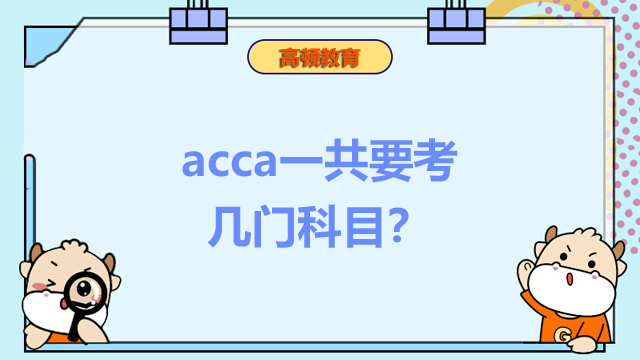 acca一共要考几门科目？